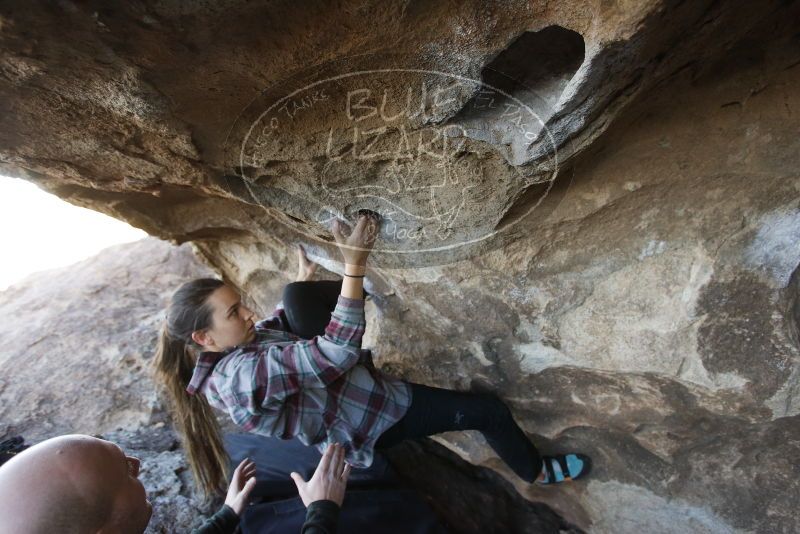 Bouldering in Hueco Tanks on 02/02/2019 with Blue Lizard Climbing and Yoga

Filename: SRM_20190202_1716130.jpg
Aperture: f/4.0
Shutter Speed: 1/320
Body: Canon EOS-1D Mark II
Lens: Canon EF 16-35mm f/2.8 L
