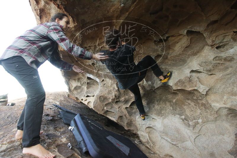 Bouldering in Hueco Tanks on 02/02/2019 with Blue Lizard Climbing and Yoga

Filename: SRM_20190202_1749130.jpg
Aperture: f/4.0
Shutter Speed: 1/250
Body: Canon EOS-1D Mark II
Lens: Canon EF 16-35mm f/2.8 L