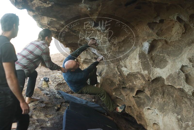 Bouldering in Hueco Tanks on 02/02/2019 with Blue Lizard Climbing and Yoga

Filename: SRM_20190202_1801130.jpg
Aperture: f/2.8
Shutter Speed: 1/640
Body: Canon EOS-1D Mark II
Lens: Canon EF 50mm f/1.8 II