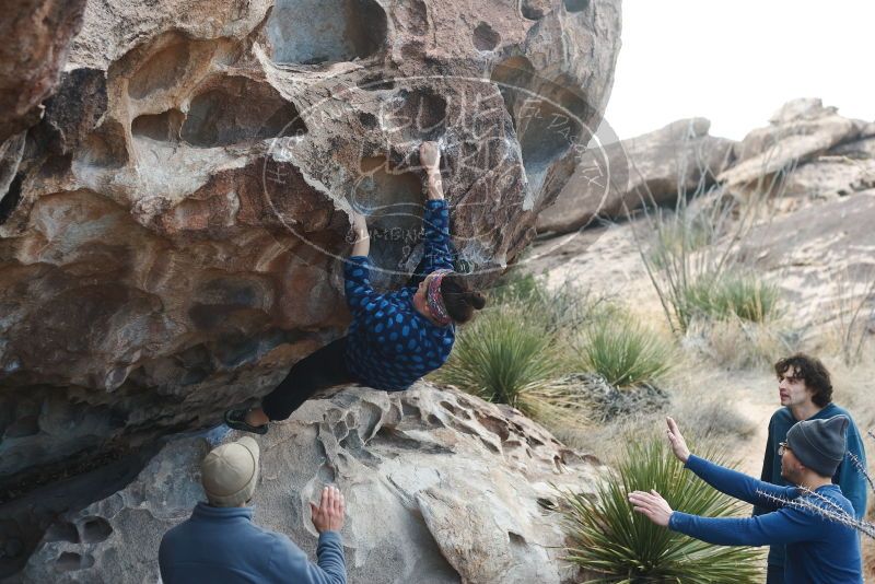 Bouldering in Hueco Tanks on 02/09/2019 with Blue Lizard Climbing and Yoga

Filename: SRM_20190209_1010300.jpg
Aperture: f/3.5
Shutter Speed: 1/400
Body: Canon EOS-1D Mark II
Lens: Canon EF 50mm f/1.8 II