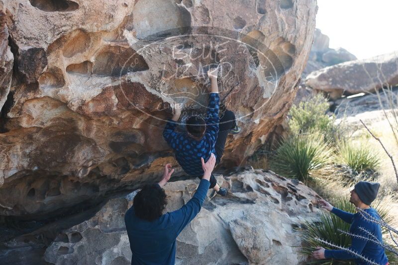 Bouldering in Hueco Tanks on 02/09/2019 with Blue Lizard Climbing and Yoga

Filename: SRM_20190209_1058540.jpg
Aperture: f/4.0
Shutter Speed: 1/500
Body: Canon EOS-1D Mark II
Lens: Canon EF 50mm f/1.8 II