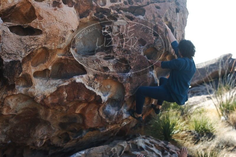 Bouldering in Hueco Tanks on 02/09/2019 with Blue Lizard Climbing and Yoga

Filename: SRM_20190209_1107150.jpg
Aperture: f/4.0
Shutter Speed: 1/1000
Body: Canon EOS-1D Mark II
Lens: Canon EF 50mm f/1.8 II