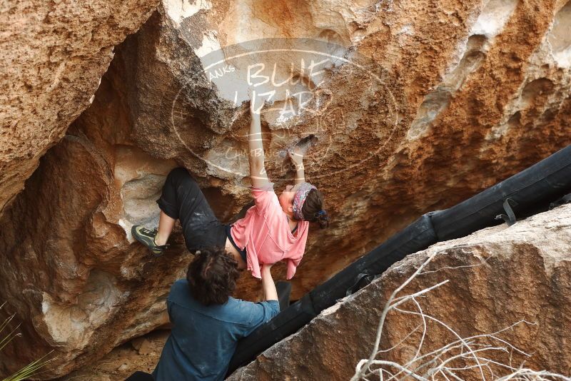 Bouldering in Hueco Tanks on 02/09/2019 with Blue Lizard Climbing and Yoga

Filename: SRM_20190209_1530510.jpg
Aperture: f/4.0
Shutter Speed: 1/250
Body: Canon EOS-1D Mark II
Lens: Canon EF 50mm f/1.8 II