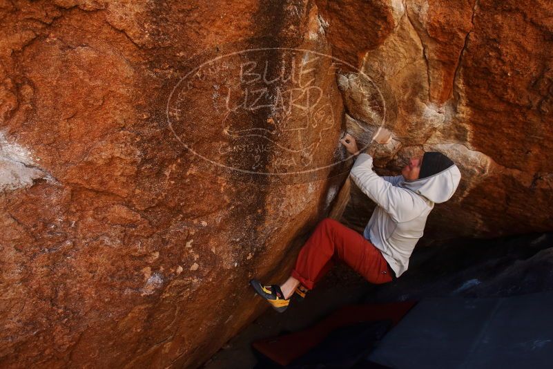 Bouldering in Hueco Tanks on 02/17/2019 with Blue Lizard Climbing and Yoga

Filename: SRM_20190217_1151590.jpg
Aperture: f/5.6
Shutter Speed: 1/320
Body: Canon EOS-1D Mark II
Lens: Canon EF 16-35mm f/2.8 L