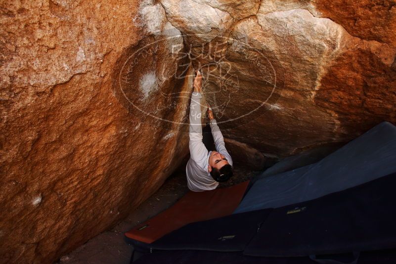 Bouldering in Hueco Tanks on 02/17/2019 with Blue Lizard Climbing and Yoga

Filename: SRM_20190217_1156100.jpg
Aperture: f/5.6
Shutter Speed: 1/160
Body: Canon EOS-1D Mark II
Lens: Canon EF 16-35mm f/2.8 L