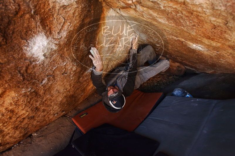 Bouldering in Hueco Tanks on 02/17/2019 with Blue Lizard Climbing and Yoga

Filename: SRM_20190217_1159240.jpg
Aperture: f/4.0
Shutter Speed: 1/160
Body: Canon EOS-1D Mark II
Lens: Canon EF 16-35mm f/2.8 L
