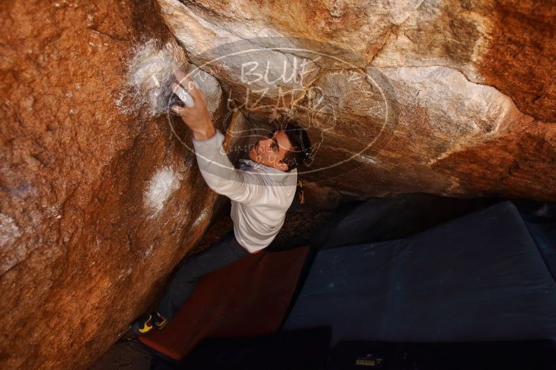 

Filename: SRM_20190217_1200590.jpg
Aperture: f/4.5
Shutter Speed: 1/320
Body: Canon EOS-1D Mark II
Lens: Canon EF 16-35mm f/2.8 L