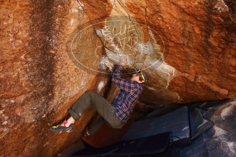 Bouldering in Hueco Tanks on 02/17/2019 with Blue Lizard Climbing and Yoga

Filename: SRM_20190217_1214550.jpg
Aperture: f/4.5
Shutter Speed: 1/400
Body: Canon EOS-1D Mark II
Lens: Canon EF 16-35mm f/2.8 L