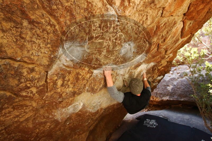 Bouldering in Hueco Tanks on 02/17/2019 with Blue Lizard Climbing and Yoga

Filename: SRM_20190217_1309191.jpg
Aperture: f/5.0
Shutter Speed: 1/200
Body: Canon EOS-1D Mark II
Lens: Canon EF 16-35mm f/2.8 L