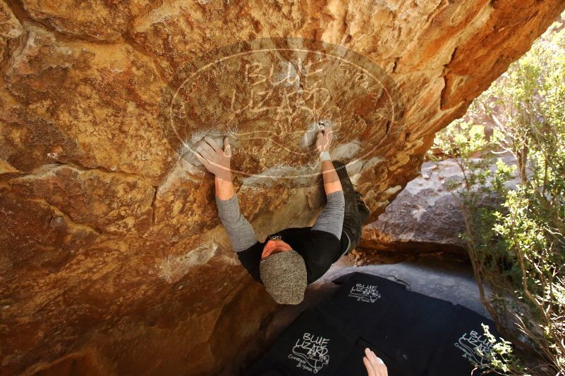 Bouldering in Hueco Tanks on 02/17/2019 with Blue Lizard Climbing and Yoga

Filename: SRM_20190217_1309271.jpg
Aperture: f/5.6
Shutter Speed: 1/200
Body: Canon EOS-1D Mark II
Lens: Canon EF 16-35mm f/2.8 L