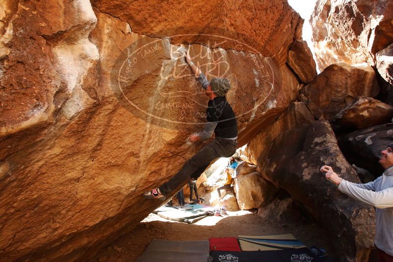 Bouldering in Hueco Tanks on 02/17/2019 with Blue Lizard Climbing and Yoga

Filename: SRM_20190217_1333300.jpg
Aperture: f/5.0
Shutter Speed: 1/400
Body: Canon EOS-1D Mark II
Lens: Canon EF 16-35mm f/2.8 L