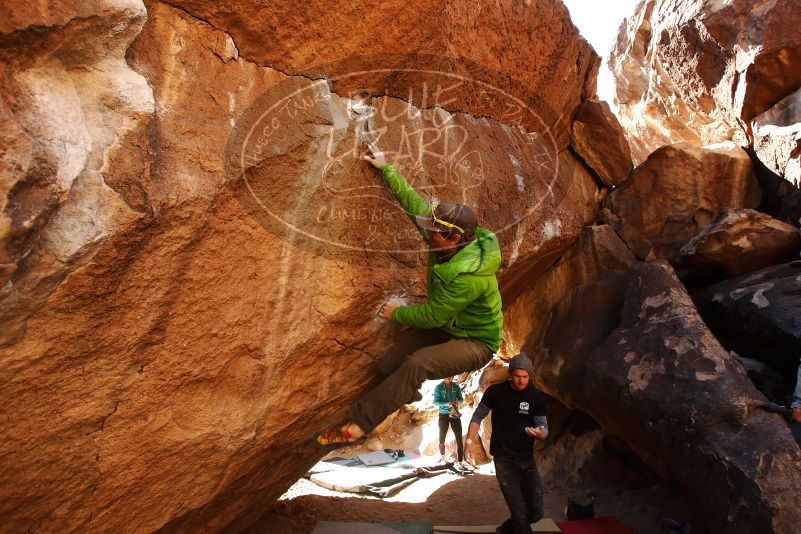 Bouldering in Hueco Tanks on 02/17/2019 with Blue Lizard Climbing and Yoga

Filename: SRM_20190217_1346250.jpg
Aperture: f/5.0
Shutter Speed: 1/400
Body: Canon EOS-1D Mark II
Lens: Canon EF 16-35mm f/2.8 L