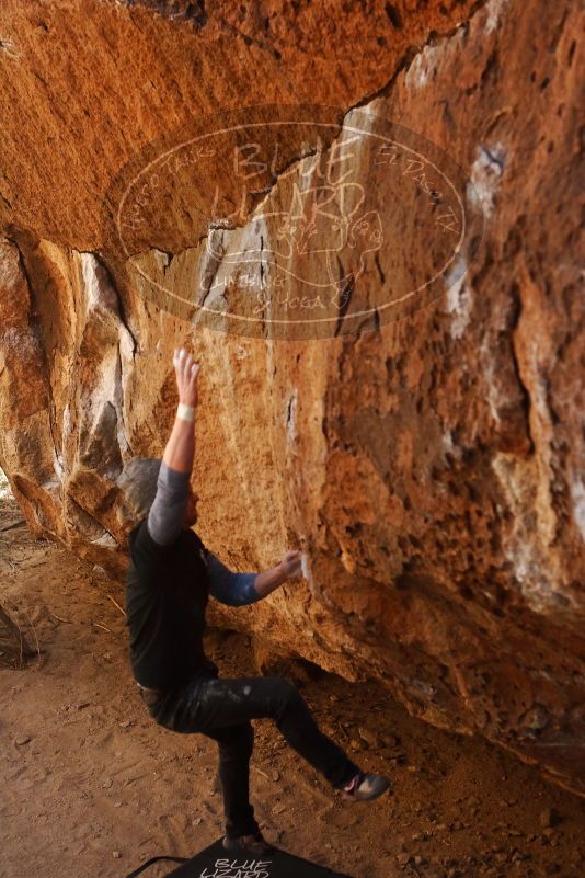 Bouldering in Hueco Tanks on 02/17/2019 with Blue Lizard Climbing and Yoga

Filename: SRM_20190217_1357101.jpg
Aperture: f/4.0
Shutter Speed: 1/400
Body: Canon EOS-1D Mark II
Lens: Canon EF 50mm f/1.8 II