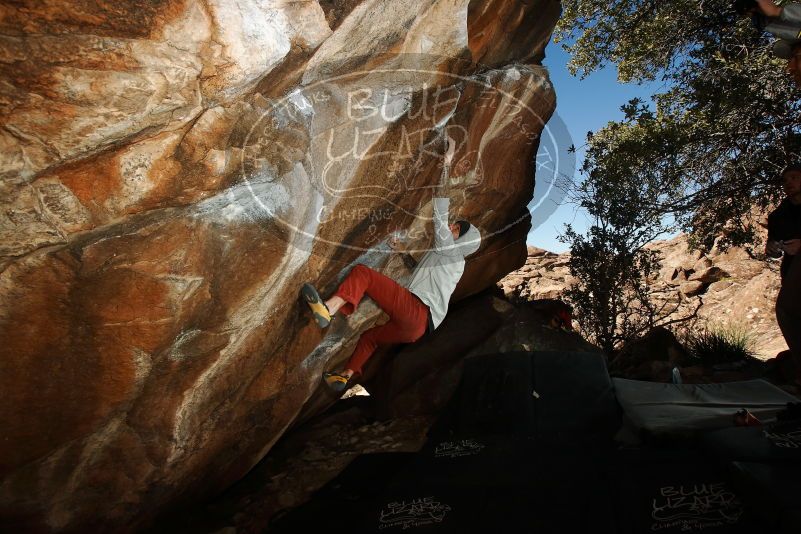 Bouldering in Hueco Tanks on 02/17/2019 with Blue Lizard Climbing and Yoga

Filename: SRM_20190217_1504370.jpg
Aperture: f/8.0
Shutter Speed: 1/250
Body: Canon EOS-1D Mark II
Lens: Canon EF 16-35mm f/2.8 L