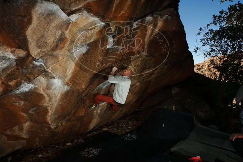 Bouldering in Hueco Tanks on 02/17/2019 with Blue Lizard Climbing and Yoga

Filename: SRM_20190217_1519580.jpg
Aperture: f/8.0
Shutter Speed: 1/250
Body: Canon EOS-1D Mark II
Lens: Canon EF 16-35mm f/2.8 L