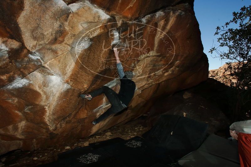 Bouldering in Hueco Tanks on 02/17/2019 with Blue Lizard Climbing and Yoga

Filename: SRM_20190217_1525400.jpg
Aperture: f/8.0
Shutter Speed: 1/250
Body: Canon EOS-1D Mark II
Lens: Canon EF 16-35mm f/2.8 L