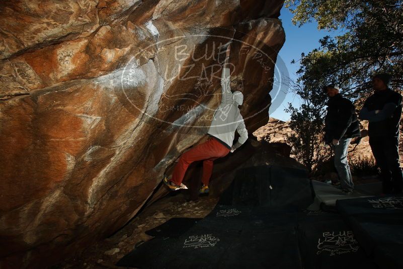 Bouldering in Hueco Tanks on 02/17/2019 with Blue Lizard Climbing and Yoga

Filename: SRM_20190217_1541190.jpg
Aperture: f/8.0
Shutter Speed: 1/250
Body: Canon EOS-1D Mark II
Lens: Canon EF 16-35mm f/2.8 L