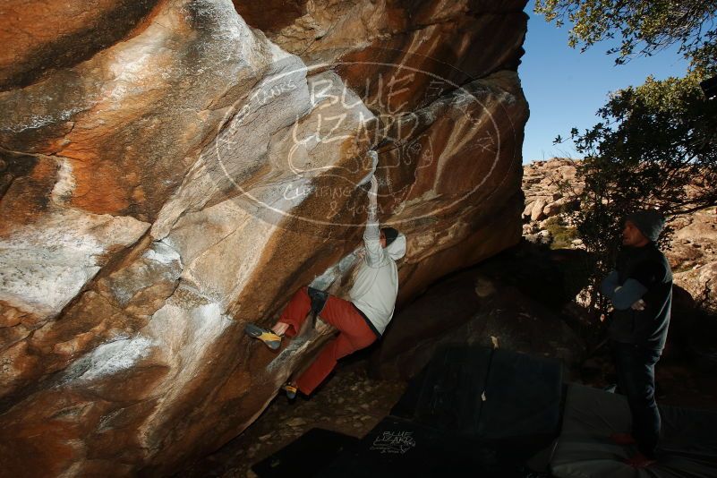 Bouldering in Hueco Tanks on 02/17/2019 with Blue Lizard Climbing and Yoga

Filename: SRM_20190217_1547140.jpg
Aperture: f/8.0
Shutter Speed: 1/250
Body: Canon EOS-1D Mark II
Lens: Canon EF 16-35mm f/2.8 L