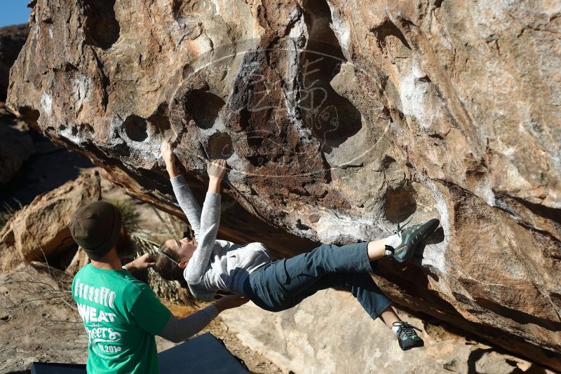 Bouldering in Hueco Tanks on 02/22/2019 with Blue Lizard Climbing and Yoga

Filename: SRM_20190222_1018060.jpg
Aperture: f/4.0
Shutter Speed: 1/800
Body: Canon EOS-1D Mark II
Lens: Canon EF 50mm f/1.8 II