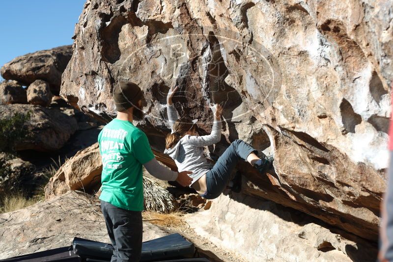 Bouldering in Hueco Tanks on 02/22/2019 with Blue Lizard Climbing and Yoga

Filename: SRM_20190222_1035160.jpg
Aperture: f/4.0
Shutter Speed: 1/640
Body: Canon EOS-1D Mark II
Lens: Canon EF 50mm f/1.8 II