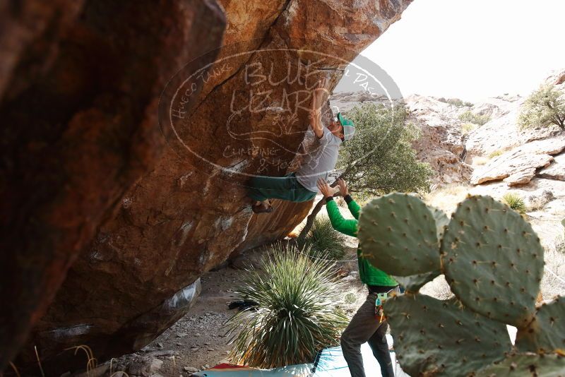 Bouldering in Hueco Tanks on 02/22/2019 with Blue Lizard Climbing and Yoga

Filename: SRM_20190222_1508480.jpg
Aperture: f/6.3
Shutter Speed: 1/250
Body: Canon EOS-1D Mark II
Lens: Canon EF 16-35mm f/2.8 L