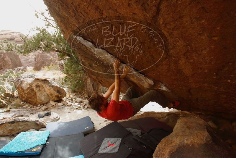 Bouldering in Hueco Tanks on 02/22/2019 with Blue Lizard Climbing and Yoga

Filename: SRM_20190222_1642300.jpg
Aperture: f/5.6
Shutter Speed: 1/200
Body: Canon EOS-1D Mark II
Lens: Canon EF 16-35mm f/2.8 L