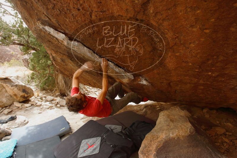 Bouldering in Hueco Tanks on 02/22/2019 with Blue Lizard Climbing and Yoga

Filename: SRM_20190222_1642530.jpg
Aperture: f/4.5
Shutter Speed: 1/200
Body: Canon EOS-1D Mark II
Lens: Canon EF 16-35mm f/2.8 L