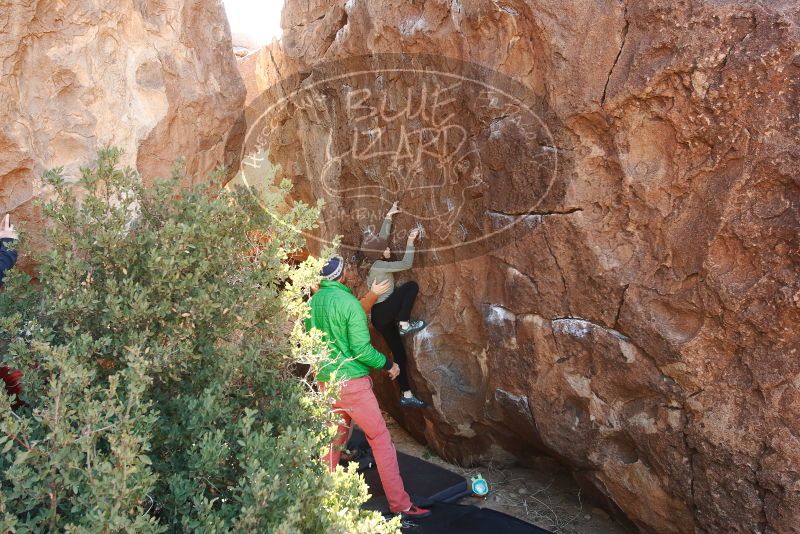 Bouldering in Hueco Tanks on 02/24/2019 with Blue Lizard Climbing and Yoga

Filename: SRM_20190224_1031280.jpg
Aperture: f/5.6
Shutter Speed: 1/160
Body: Canon EOS-1D Mark II
Lens: Canon EF 16-35mm f/2.8 L