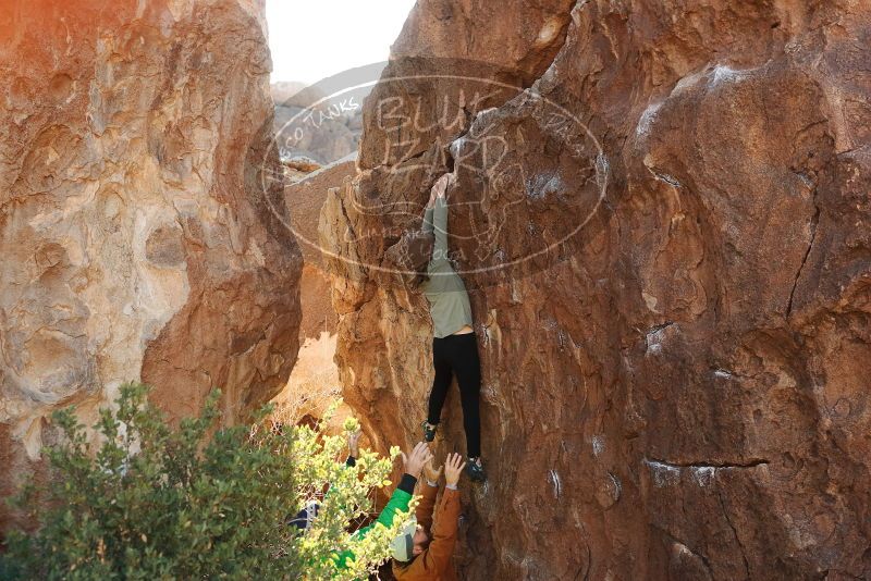 Bouldering in Hueco Tanks on 02/24/2019 with Blue Lizard Climbing and Yoga

Filename: SRM_20190224_1041320.jpg
Aperture: f/4.0
Shutter Speed: 1/500
Body: Canon EOS-1D Mark II
Lens: Canon EF 50mm f/1.8 II