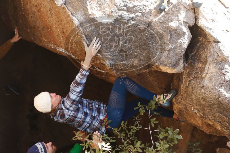 Bouldering in Hueco Tanks on 02/24/2019 with Blue Lizard Climbing and Yoga

Filename: SRM_20190224_1121240.jpg
Aperture: f/4.0
Shutter Speed: 1/400
Body: Canon EOS-1D Mark II
Lens: Canon EF 50mm f/1.8 II