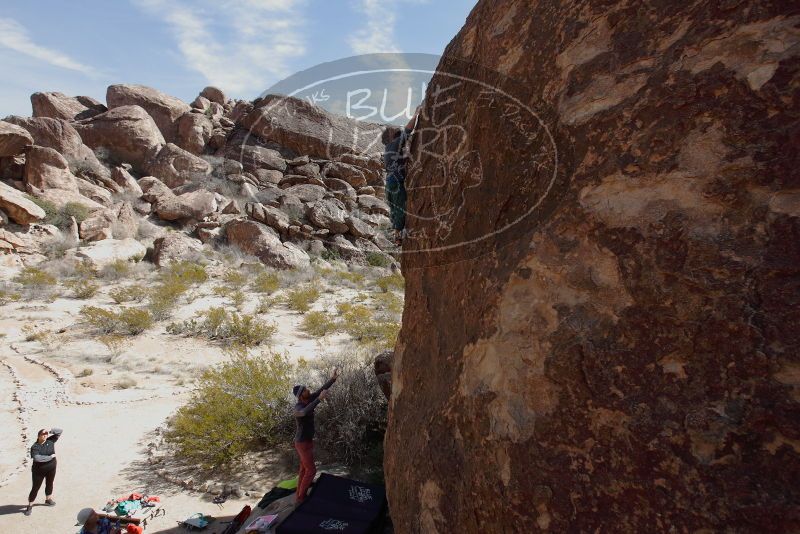 Bouldering in Hueco Tanks on 02/24/2019 with Blue Lizard Climbing and Yoga

Filename: SRM_20190224_1230220.jpg
Aperture: f/5.6
Shutter Speed: 1/800
Body: Canon EOS-1D Mark II
Lens: Canon EF 16-35mm f/2.8 L