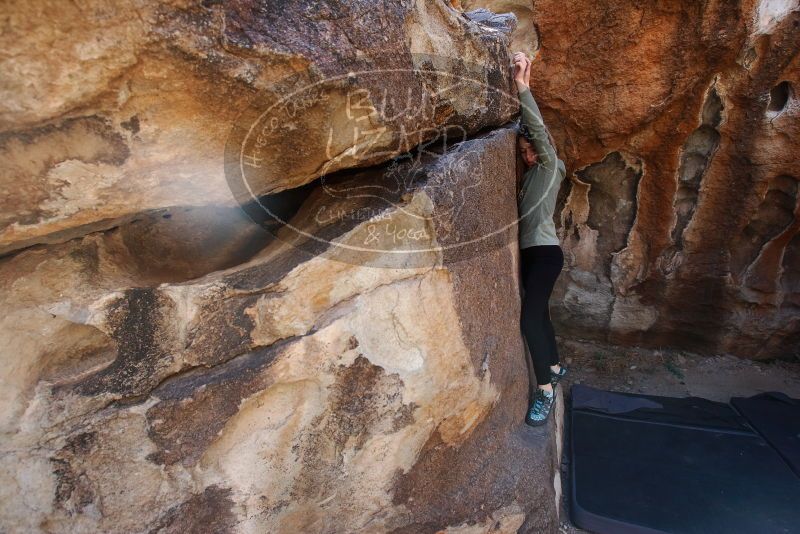 Bouldering in Hueco Tanks on 02/24/2019 with Blue Lizard Climbing and Yoga

Filename: SRM_20190224_1314580.jpg
Aperture: f/5.0
Shutter Speed: 1/500
Body: Canon EOS-1D Mark II
Lens: Canon EF 16-35mm f/2.8 L