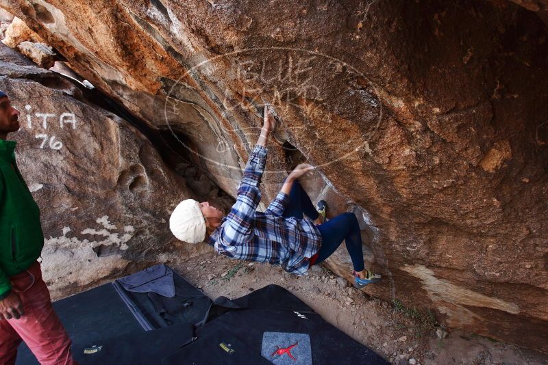Bouldering in Hueco Tanks on 02/24/2019 with Blue Lizard Climbing and Yoga

Filename: SRM_20190224_1338300.jpg
Aperture: f/5.0
Shutter Speed: 1/200
Body: Canon EOS-1D Mark II
Lens: Canon EF 16-35mm f/2.8 L