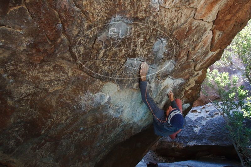 Bouldering in Hueco Tanks on 02/24/2019 with Blue Lizard Climbing and Yoga

Filename: SRM_20190224_1404250.jpg
Aperture: f/5.6
Shutter Speed: 1/250
Body: Canon EOS-1D Mark II
Lens: Canon EF 16-35mm f/2.8 L
