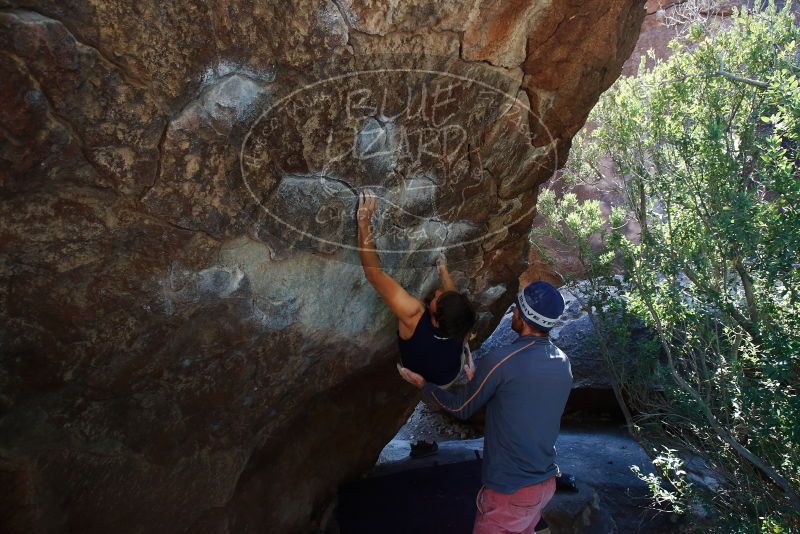 Bouldering in Hueco Tanks on 02/24/2019 with Blue Lizard Climbing and Yoga

Filename: SRM_20190224_1407230.jpg
Aperture: f/5.6
Shutter Speed: 1/320
Body: Canon EOS-1D Mark II
Lens: Canon EF 16-35mm f/2.8 L