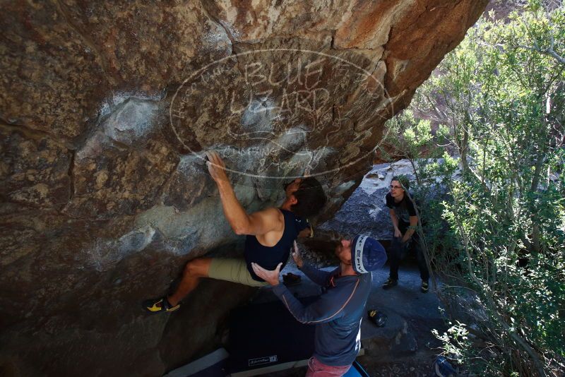 Bouldering in Hueco Tanks on 02/24/2019 with Blue Lizard Climbing and Yoga

Filename: SRM_20190224_1409360.jpg
Aperture: f/5.6
Shutter Speed: 1/320
Body: Canon EOS-1D Mark II
Lens: Canon EF 16-35mm f/2.8 L