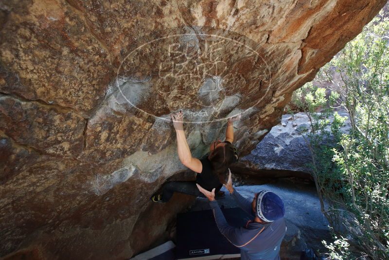 Bouldering in Hueco Tanks on 02/24/2019 with Blue Lizard Climbing and Yoga

Filename: SRM_20190224_1410430.jpg
Aperture: f/5.6
Shutter Speed: 1/200
Body: Canon EOS-1D Mark II
Lens: Canon EF 16-35mm f/2.8 L