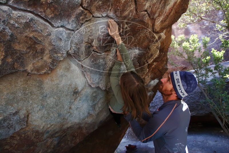 Bouldering in Hueco Tanks on 02/24/2019 with Blue Lizard Climbing and Yoga

Filename: SRM_20190224_1413040.jpg
Aperture: f/5.6
Shutter Speed: 1/320
Body: Canon EOS-1D Mark II
Lens: Canon EF 16-35mm f/2.8 L