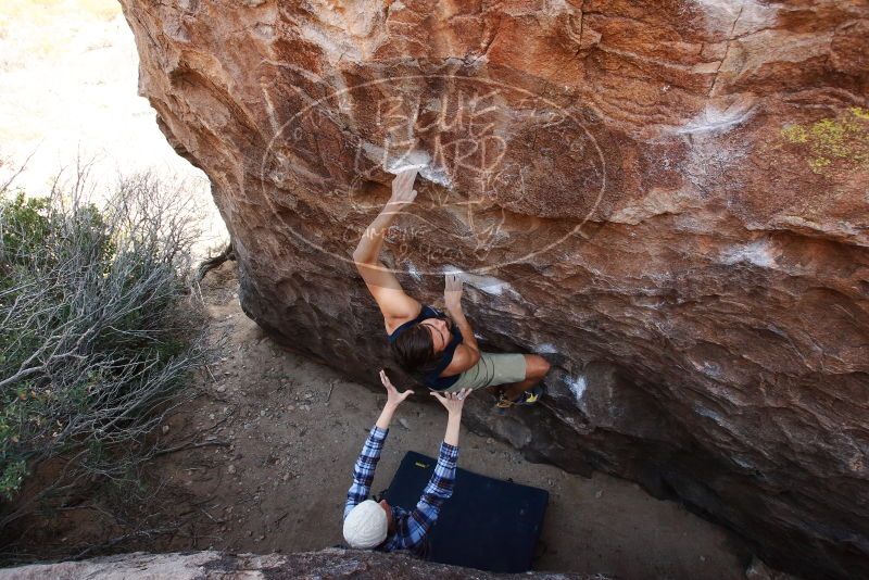 Bouldering in Hueco Tanks on 02/24/2019 with Blue Lizard Climbing and Yoga

Filename: SRM_20190224_1456500.jpg
Aperture: f/5.6
Shutter Speed: 1/250
Body: Canon EOS-1D Mark II
Lens: Canon EF 16-35mm f/2.8 L