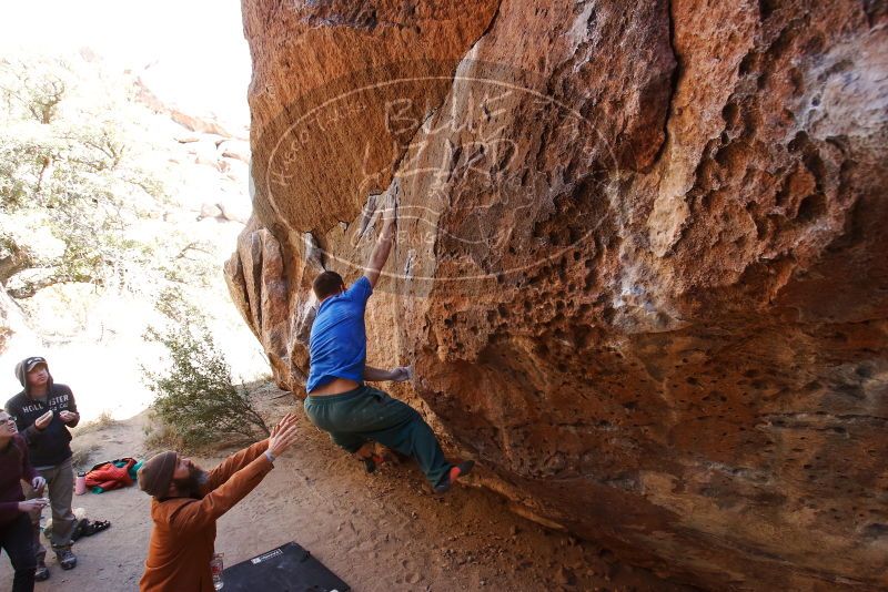 Bouldering in Hueco Tanks on 02/24/2019 with Blue Lizard Climbing and Yoga

Filename: SRM_20190224_1509320.jpg
Aperture: f/5.6
Shutter Speed: 1/250
Body: Canon EOS-1D Mark II
Lens: Canon EF 16-35mm f/2.8 L