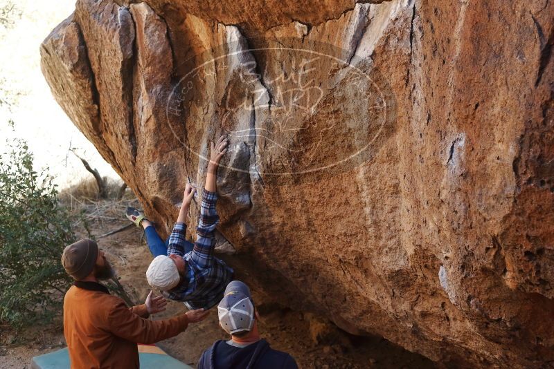 Bouldering in Hueco Tanks on 02/24/2019 with Blue Lizard Climbing and Yoga

Filename: SRM_20190224_1524480.jpg
Aperture: f/4.0
Shutter Speed: 1/320
Body: Canon EOS-1D Mark II
Lens: Canon EF 50mm f/1.8 II