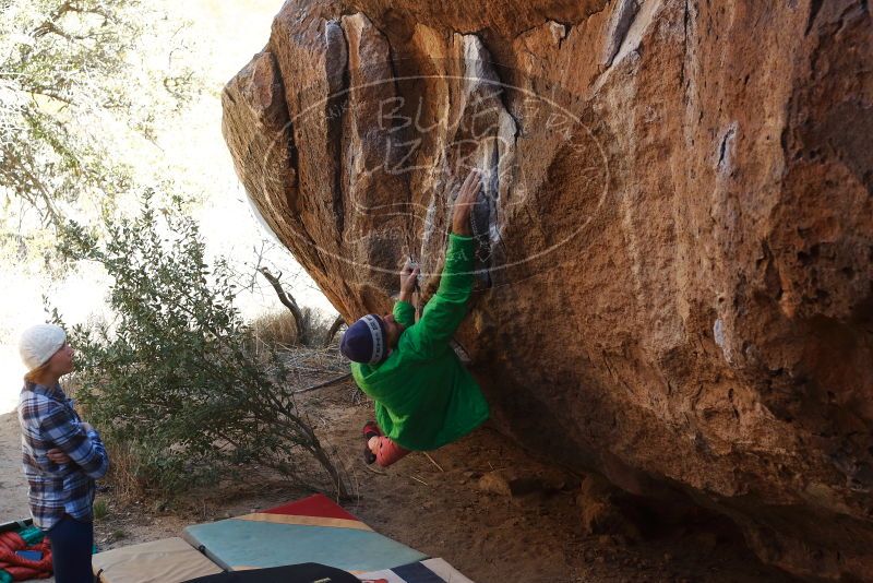 Bouldering in Hueco Tanks on 02/24/2019 with Blue Lizard Climbing and Yoga

Filename: SRM_20190224_1529560.jpg
Aperture: f/4.0
Shutter Speed: 1/800
Body: Canon EOS-1D Mark II
Lens: Canon EF 50mm f/1.8 II