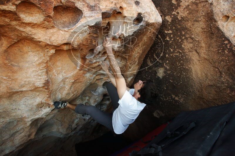 Bouldering in Hueco Tanks on 03/01/2019 with Blue Lizard Climbing and Yoga

Filename: SRM_20190301_1107290.jpg
Aperture: f/5.6
Shutter Speed: 1/320
Body: Canon EOS-1D Mark II
Lens: Canon EF 16-35mm f/2.8 L