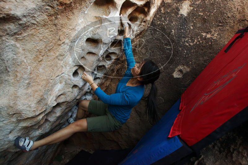 Bouldering in Hueco Tanks on 03/01/2019 with Blue Lizard Climbing and Yoga

Filename: SRM_20190301_1111100.jpg
Aperture: f/5.0
Shutter Speed: 1/160
Body: Canon EOS-1D Mark II
Lens: Canon EF 16-35mm f/2.8 L