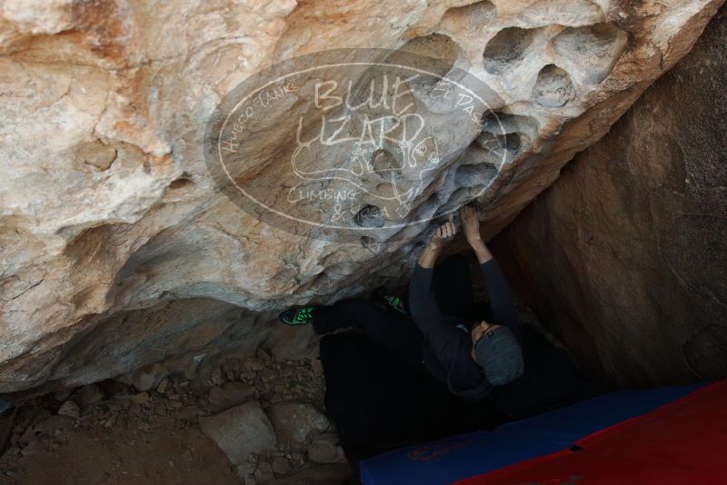 Bouldering in Hueco Tanks on 03/01/2019 with Blue Lizard Climbing and Yoga

Filename: SRM_20190301_1113100.jpg
Aperture: f/5.0
Shutter Speed: 1/125
Body: Canon EOS-1D Mark II
Lens: Canon EF 16-35mm f/2.8 L