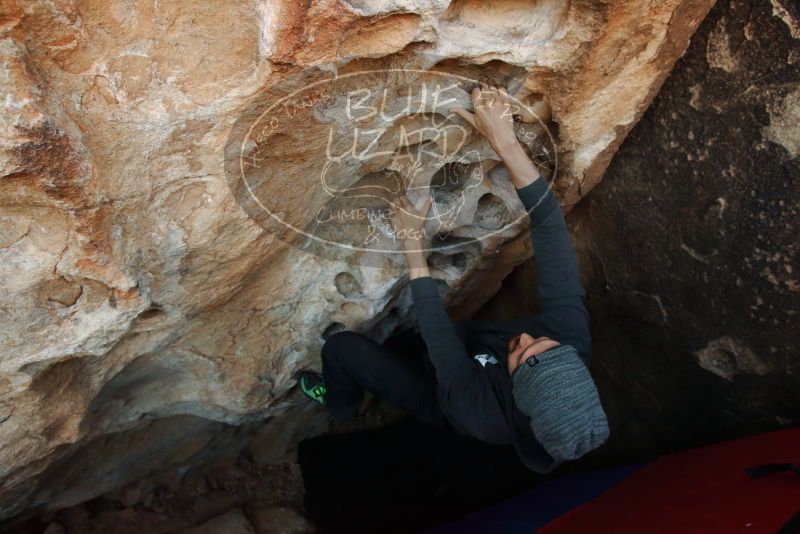 Bouldering in Hueco Tanks on 03/01/2019 with Blue Lizard Climbing and Yoga

Filename: SRM_20190301_1113340.jpg
Aperture: f/5.0
Shutter Speed: 1/320
Body: Canon EOS-1D Mark II
Lens: Canon EF 16-35mm f/2.8 L