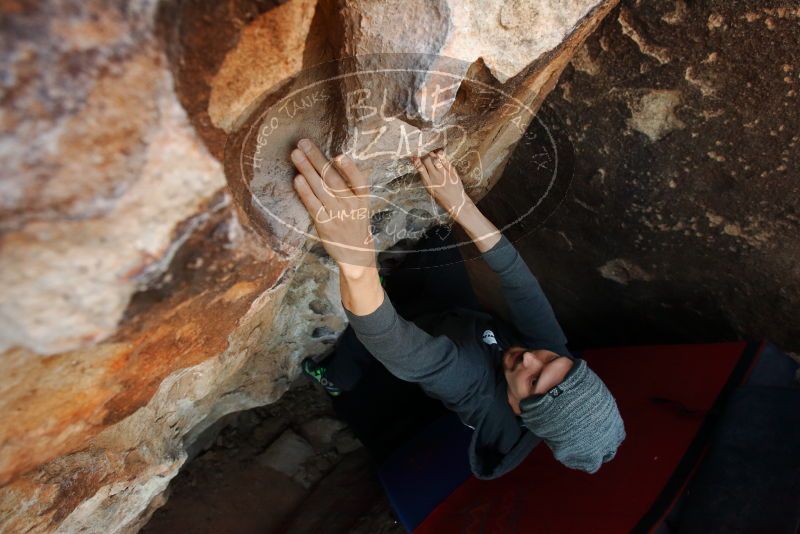 Bouldering in Hueco Tanks on 03/01/2019 with Blue Lizard Climbing and Yoga

Filename: SRM_20190301_1113440.jpg
Aperture: f/5.0
Shutter Speed: 1/400
Body: Canon EOS-1D Mark II
Lens: Canon EF 16-35mm f/2.8 L