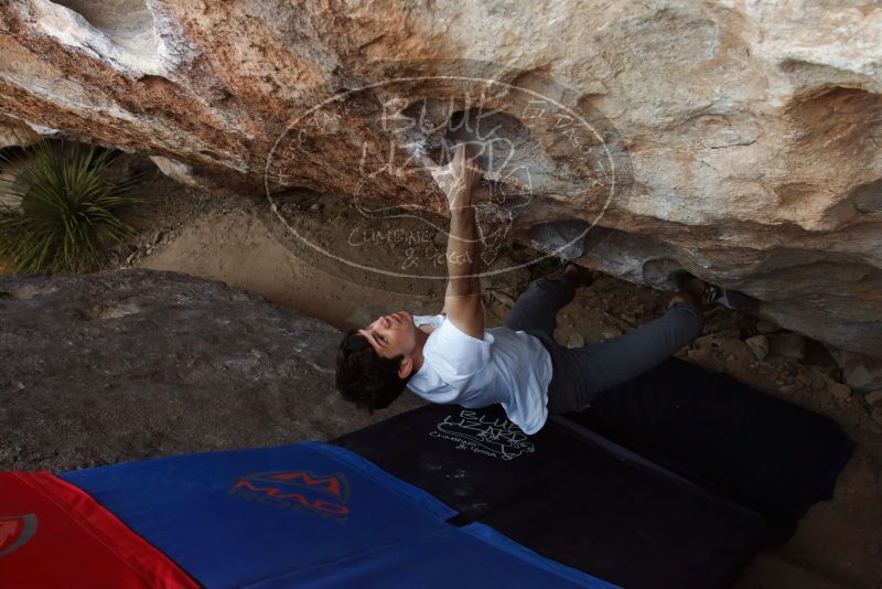Bouldering in Hueco Tanks on 03/01/2019 with Blue Lizard Climbing and Yoga

Filename: SRM_20190301_1120490.jpg
Aperture: f/5.6
Shutter Speed: 1/160
Body: Canon EOS-1D Mark II
Lens: Canon EF 16-35mm f/2.8 L