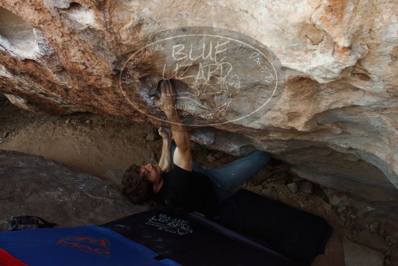 Bouldering in Hueco Tanks on 03/01/2019 with Blue Lizard Climbing and Yoga

Filename: SRM_20190301_1122060.jpg
Aperture: f/5.6
Shutter Speed: 1/160
Body: Canon EOS-1D Mark II
Lens: Canon EF 16-35mm f/2.8 L