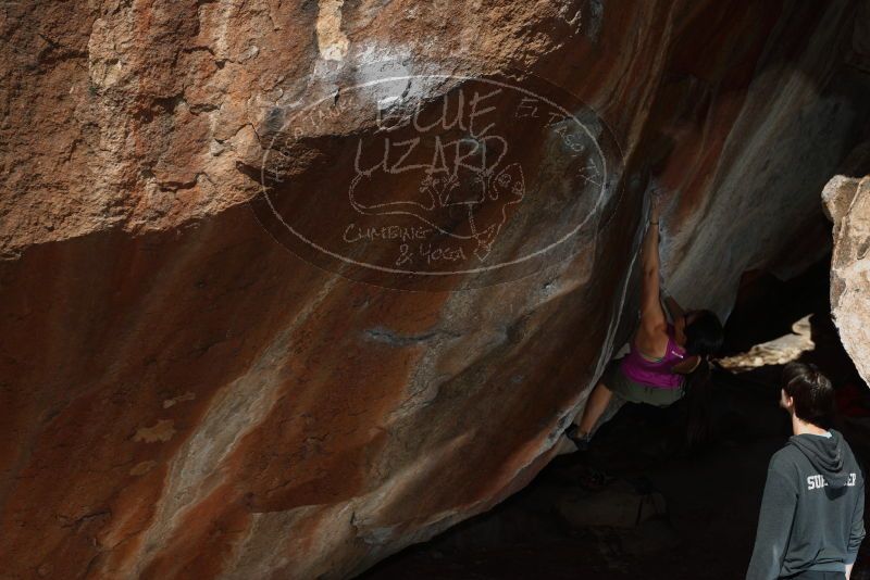 Bouldering in Hueco Tanks on 03/01/2019 with Blue Lizard Climbing and Yoga

Filename: SRM_20190301_1203330.jpg
Aperture: f/5.0
Shutter Speed: 1/250
Body: Canon EOS-1D Mark II
Lens: Canon EF 50mm f/1.8 II